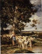 unknow artist Sheep 084 oil painting picture wholesale